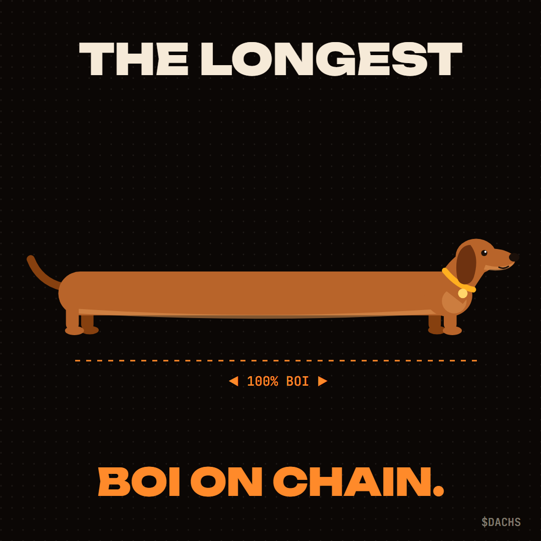 The longest boi on chain
