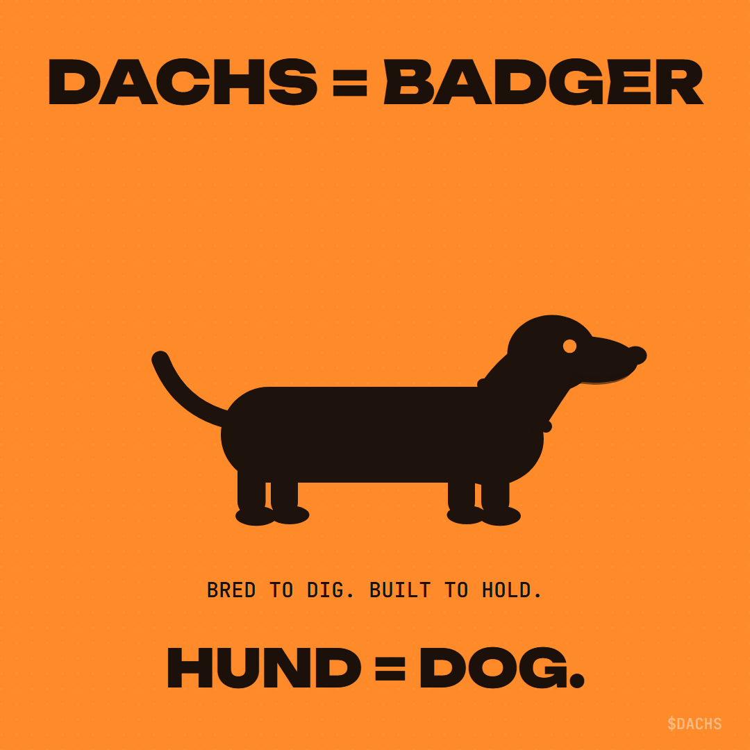 Dachs means badger, hund means dog
